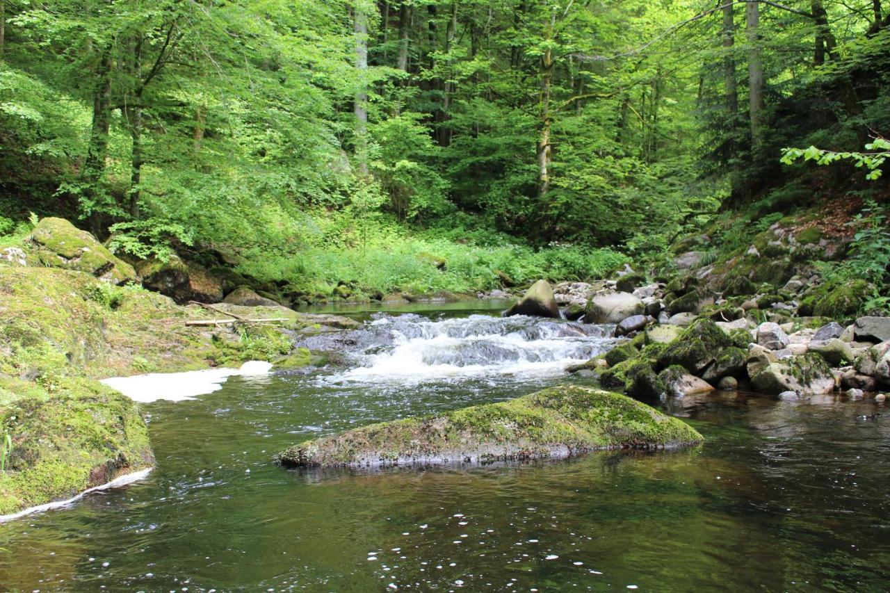 Ferienwohnung Hofleben Reiner Neukirchen vorm Wald Kültér fotó